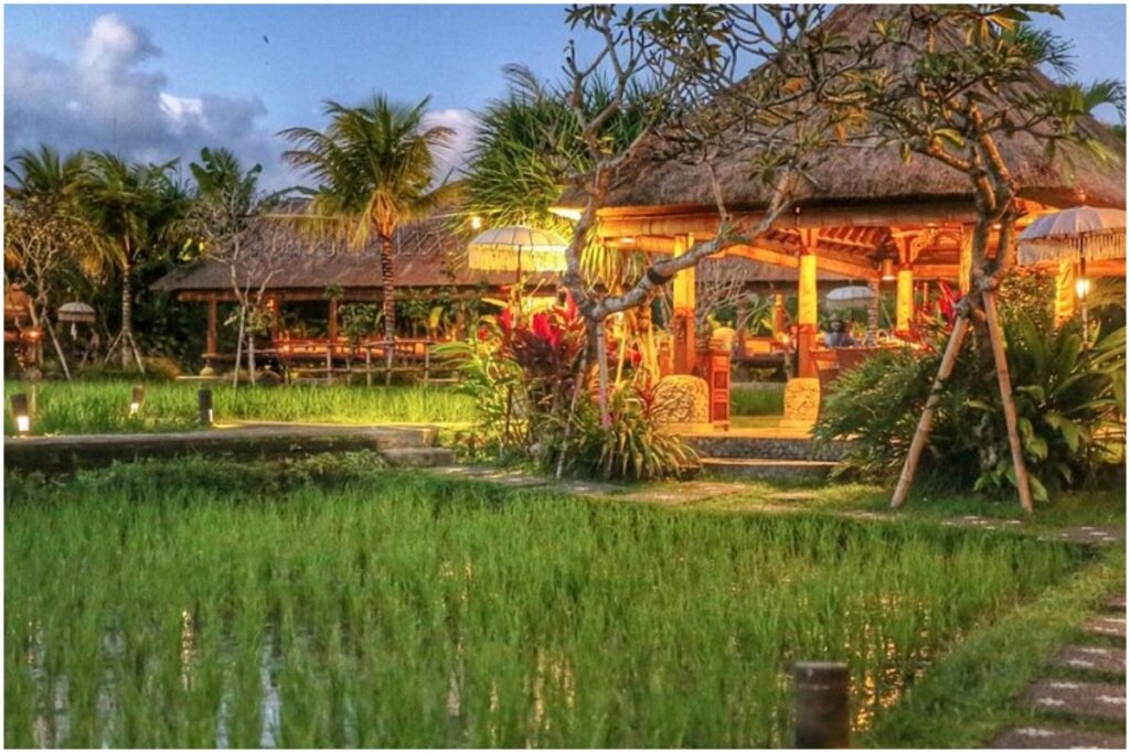 Bebek Tepi Sawah