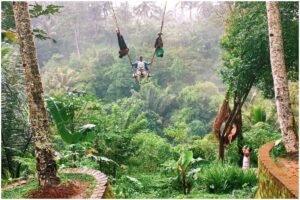 swing in bali
