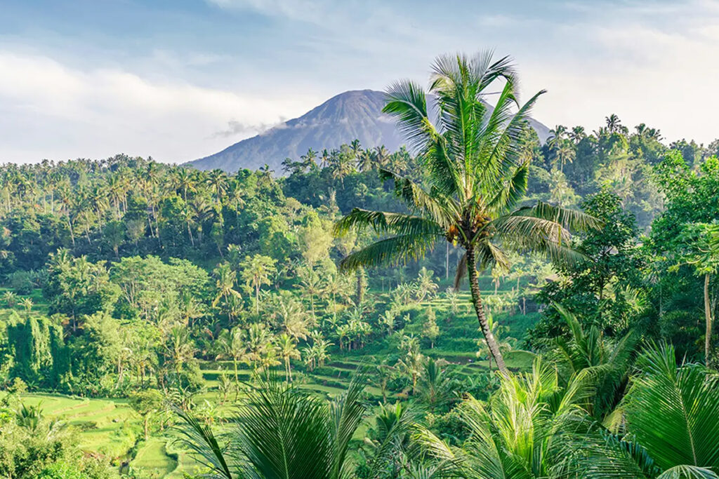 Best Time to Visit Ubud Based on Activities