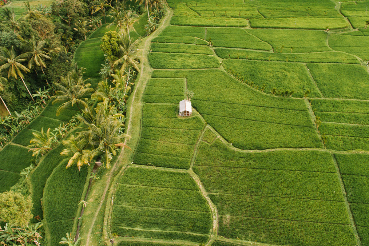 Ubud weather guide