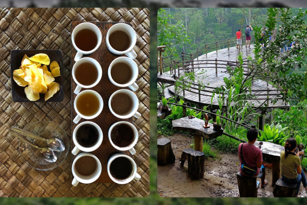 Bali Pulina Agro-Tourism Coffee Plantation