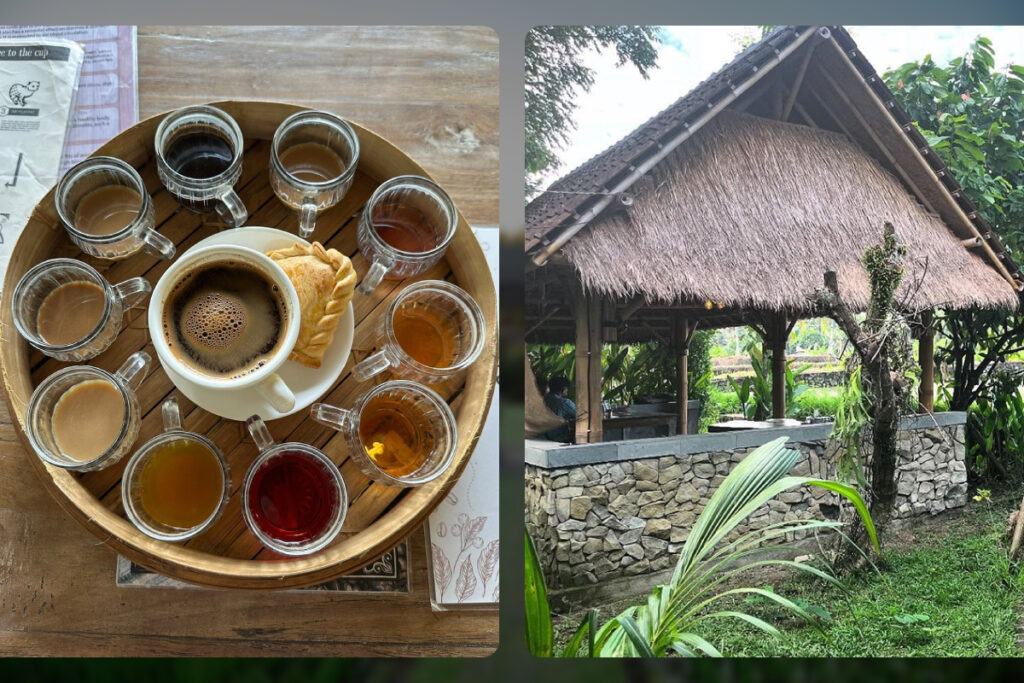 Mas Plantations and Luwak Coffee