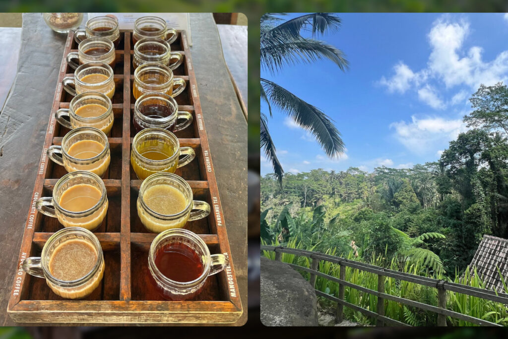 Pemulan Bali Coffee Plantation