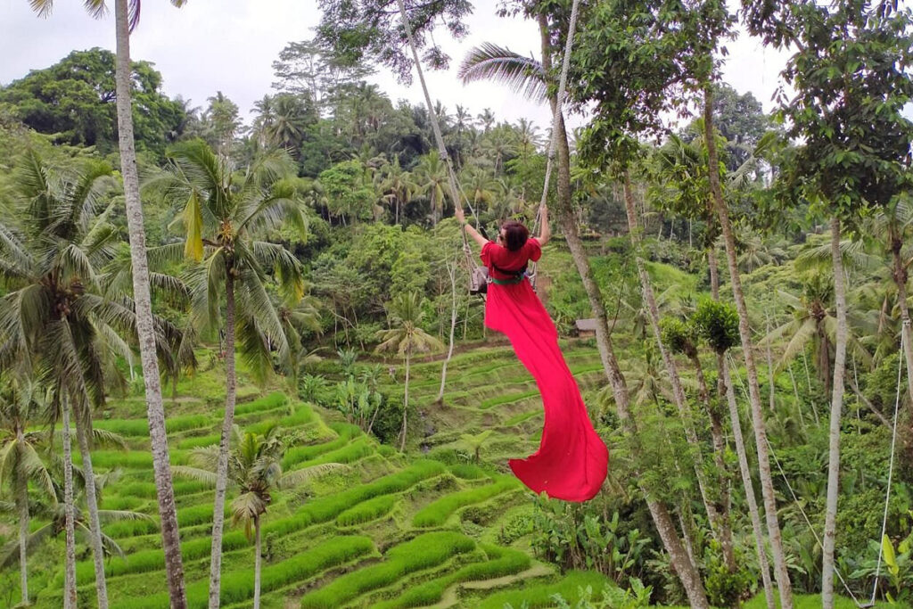 Rice Terrace Trekking & Swing Uma Ceking