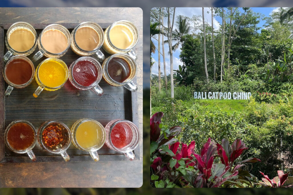 Satria Coffee Plantation
