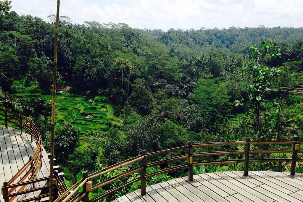 tempat wisata di ubud: agrowiwsata