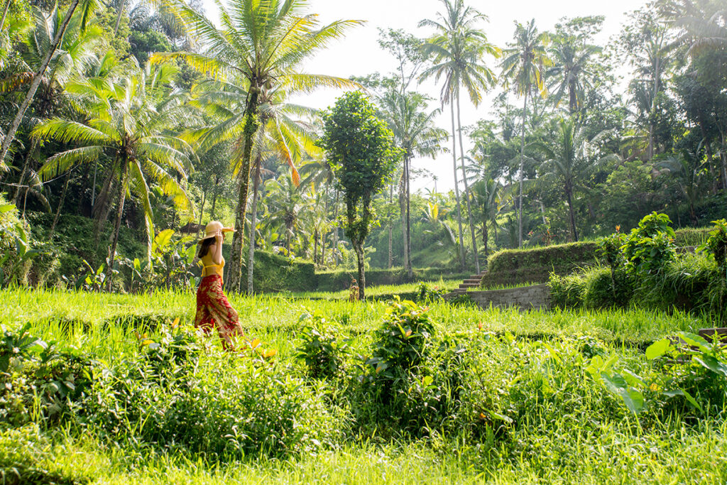 seminyak to ubud
