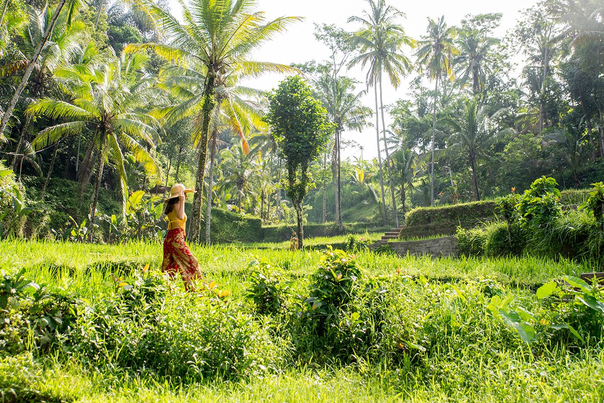seminyak to ubud