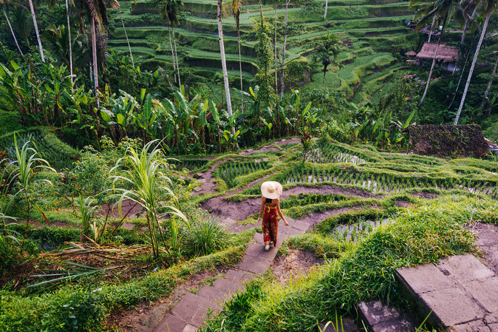ubud day trip