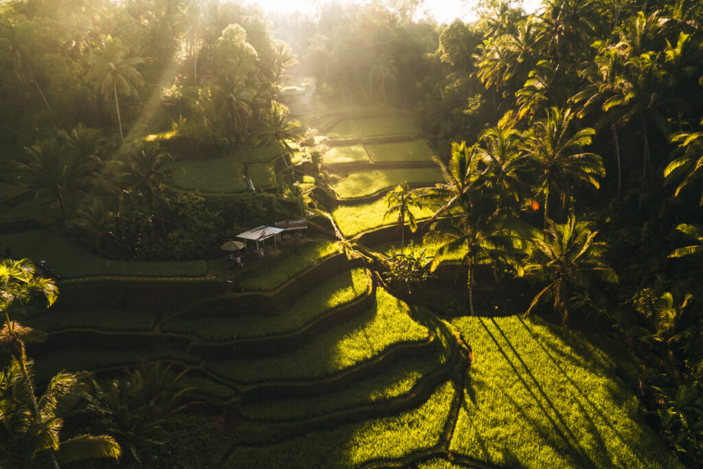 Best area to stay in Ubud