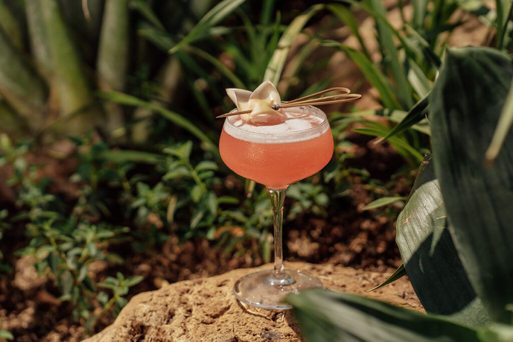 Perbedaan Signifikan Antara Mocktail dan Cocktail