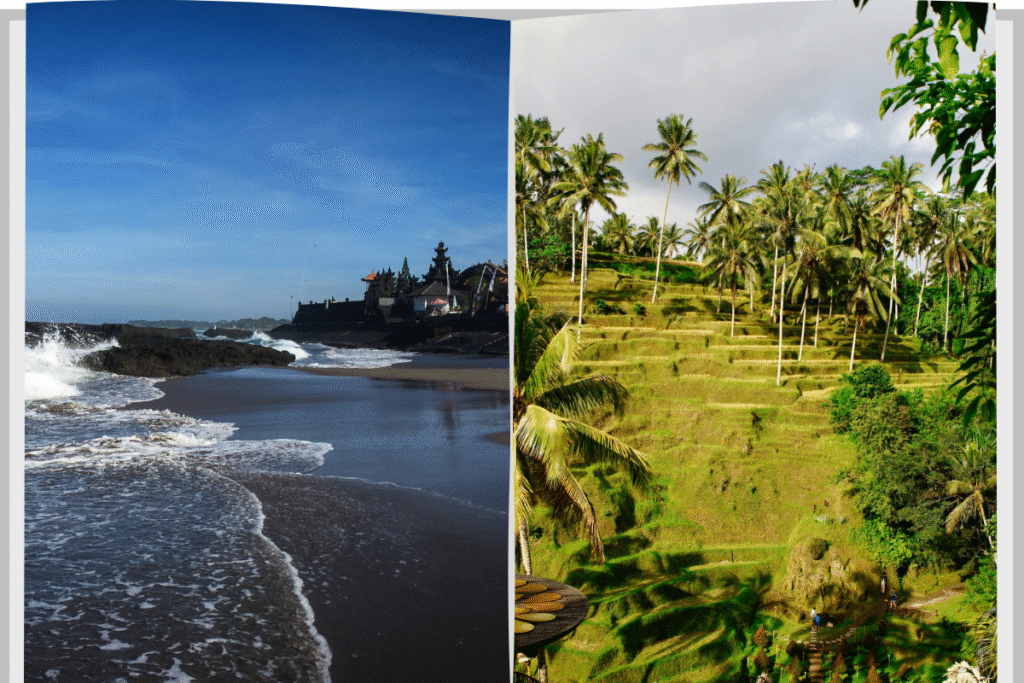 Travel from Canggu to Ubud