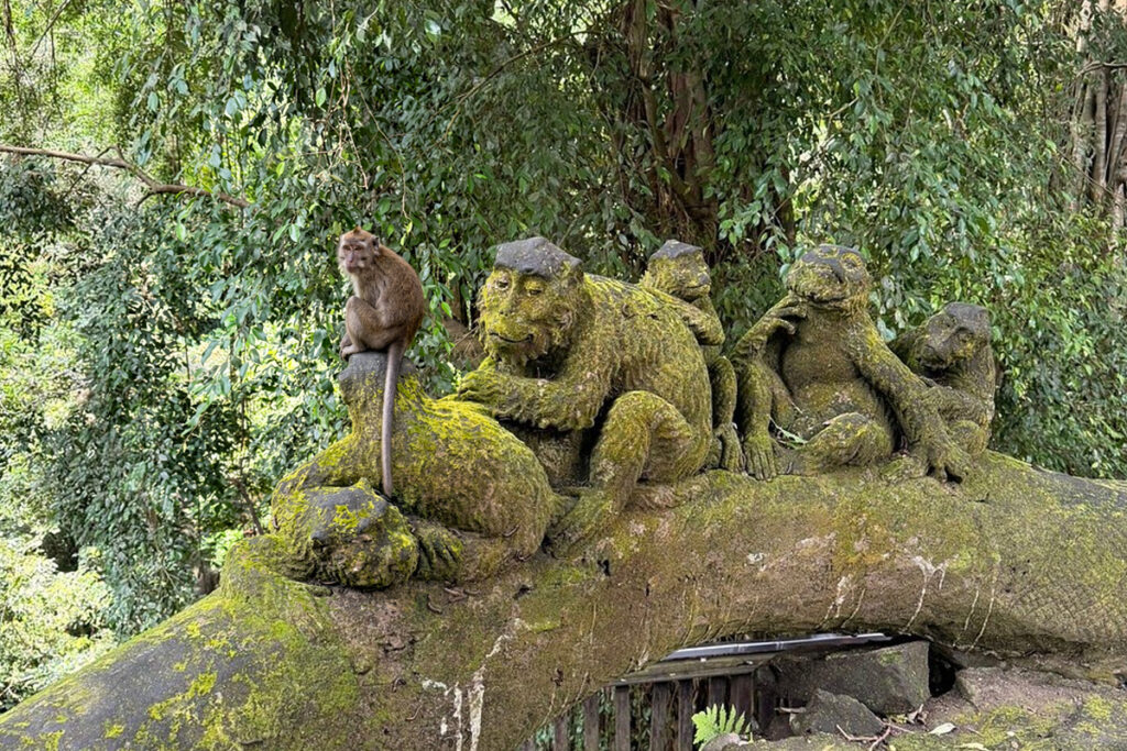 Natural Beauty and Quiet Atmosphere in Ubud