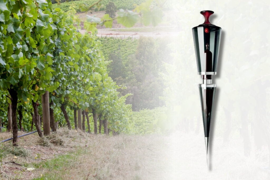 minuman mahal di dunia