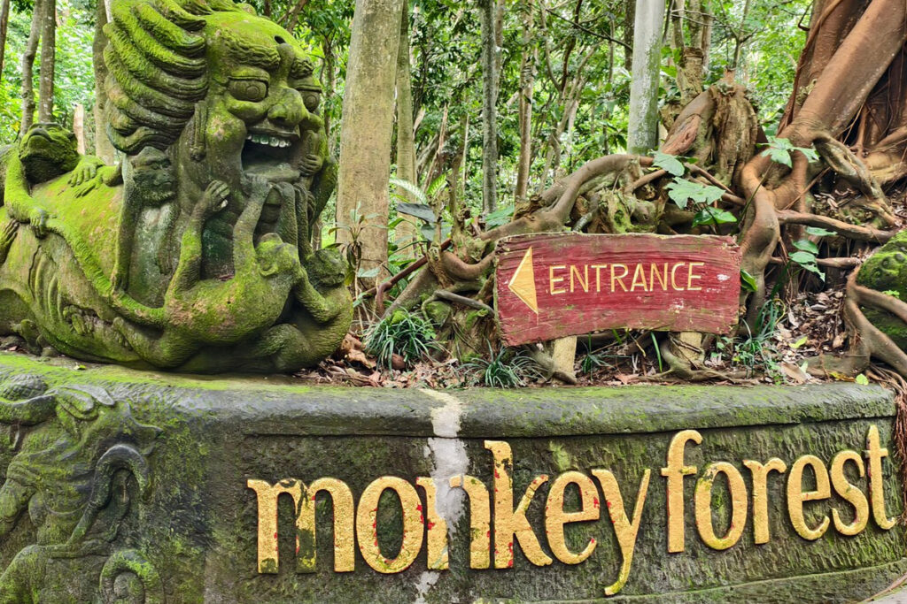 Monkey Forest in Ubud Entrance Fee