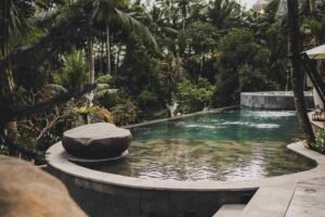 pool club ubud the jungle