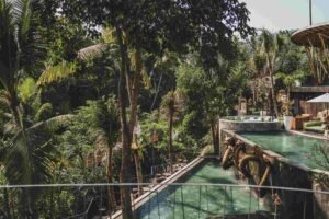 The Jungle Club Ubud