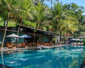 jungle fish bali