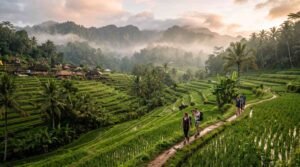 what to do in ubud