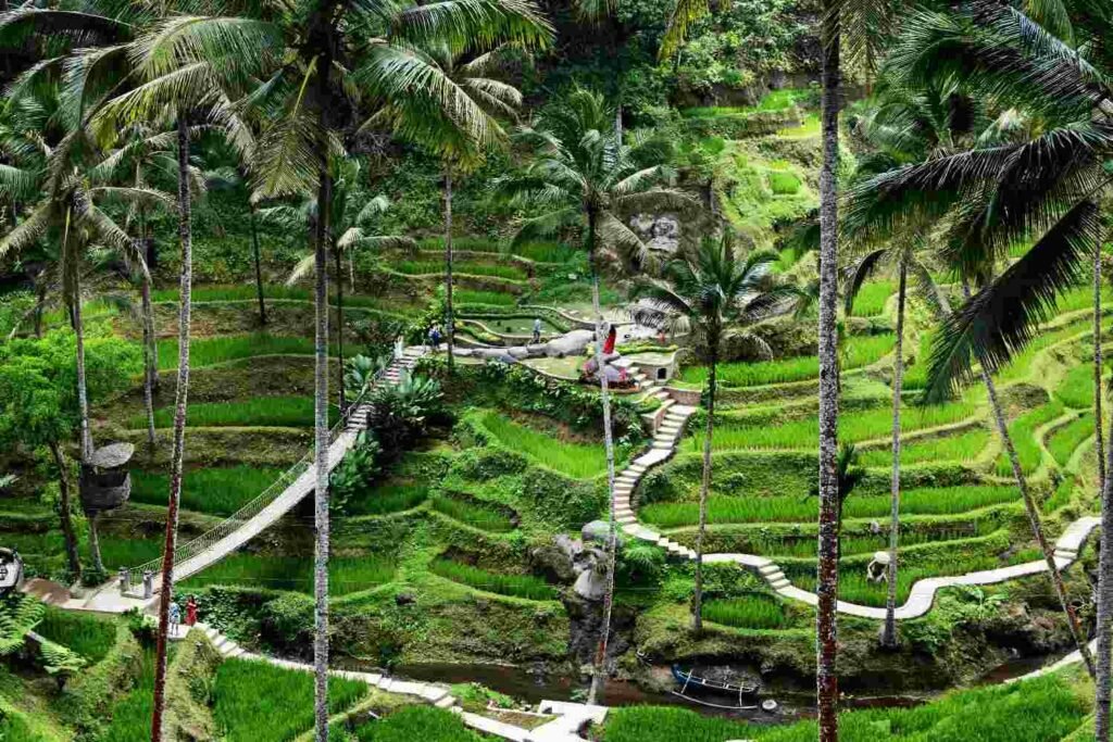 Best Place to Chill in Ubud
