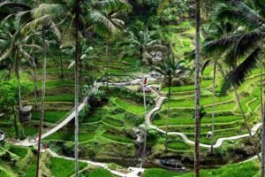Best Place to Chill in Ubud