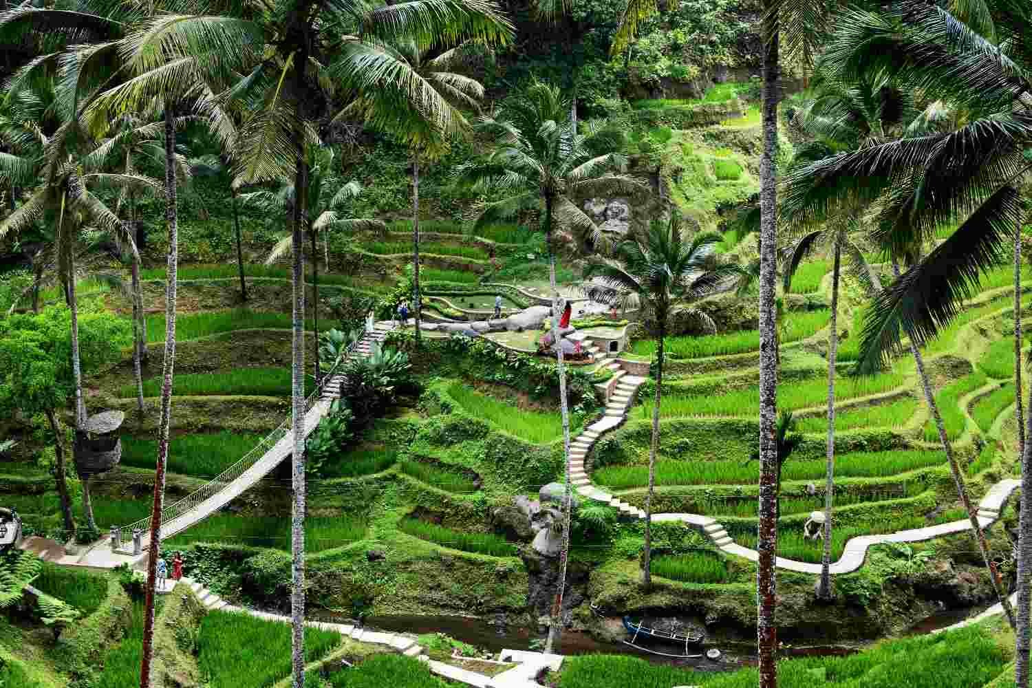 Best Place to Chill in Ubud